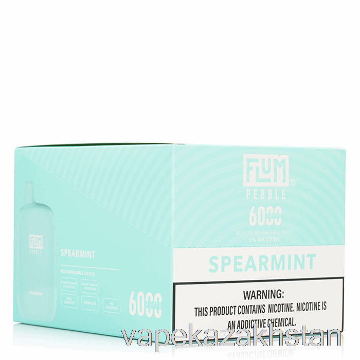 Vape Kazakhstan [10-Pack] Flum Pebble 6000 Disposable